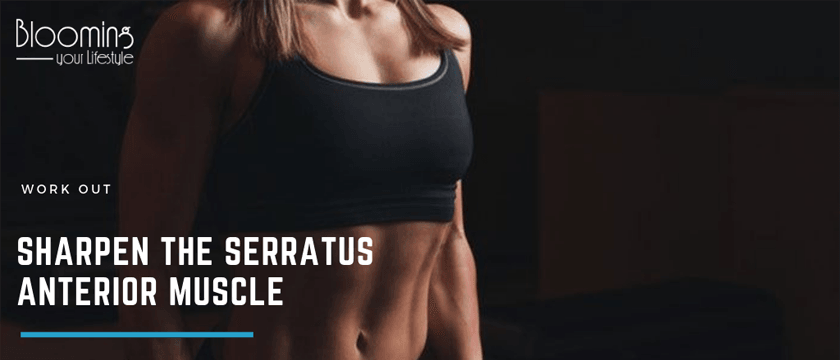 Serratus Anterior Training