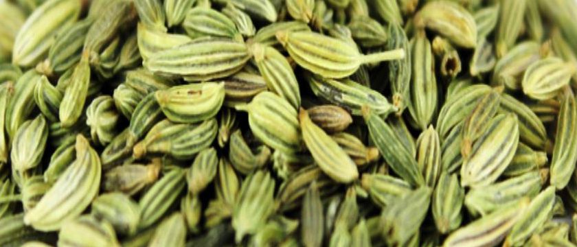 fennel seeds