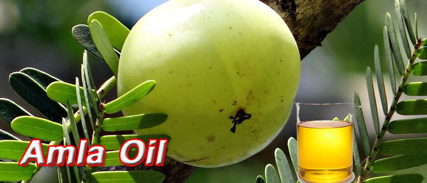 amla oil