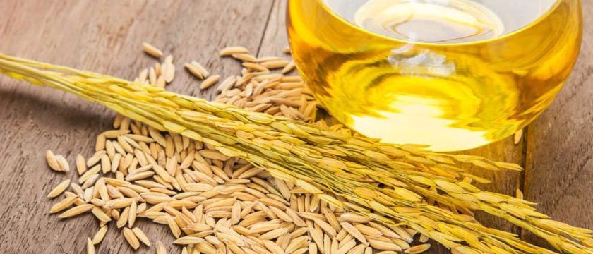 rice bran oil