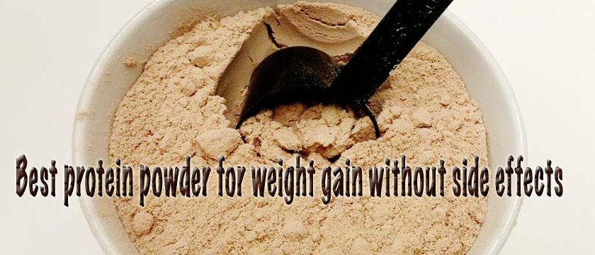 best protein powder