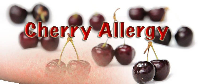 cherry allergy