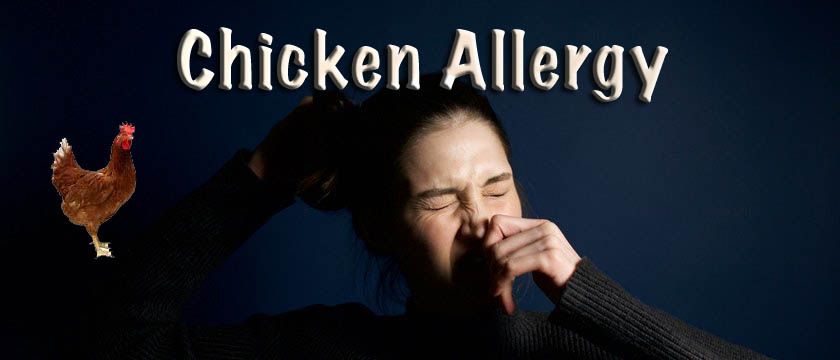 chicken allergy