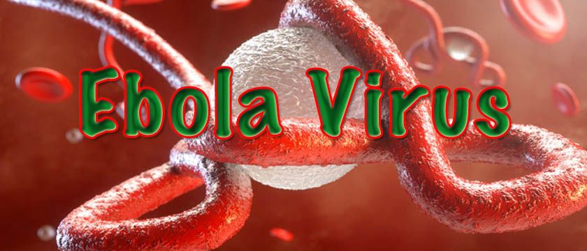 ebola virus