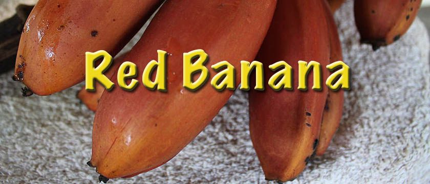 red banana