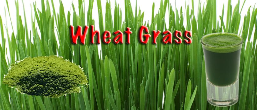 Wheatgrass Nutrition Chart